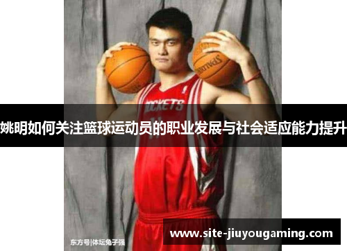 姚明如何关注篮球运动员的职业发展与社会适应能力提升