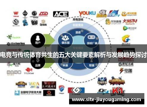 电竞与传统体育共生的五大关键要素解析与发展趋势探讨