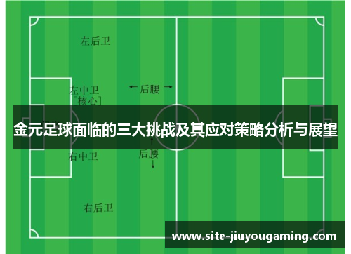 金元足球面临的三大挑战及其应对策略分析与展望