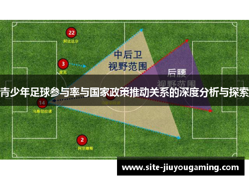 青少年足球参与率与国家政策推动关系的深度分析与探索