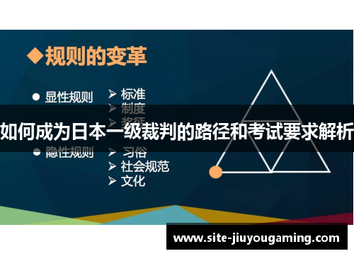 如何成为日本一级裁判的路径和考试要求解析