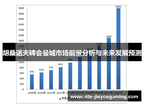 胡桑诺夫转会曼城市场前景分析与未来发展预测