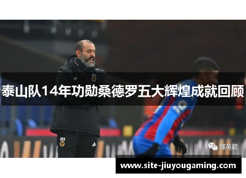 泰山队14年功勋桑德罗五大辉煌成就回顾