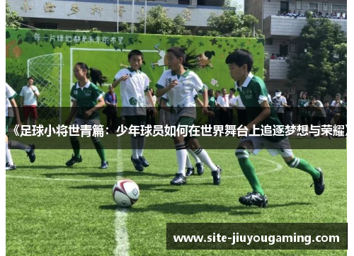 《足球小将世青篇：少年球员如何在世界舞台上追逐梦想与荣耀》